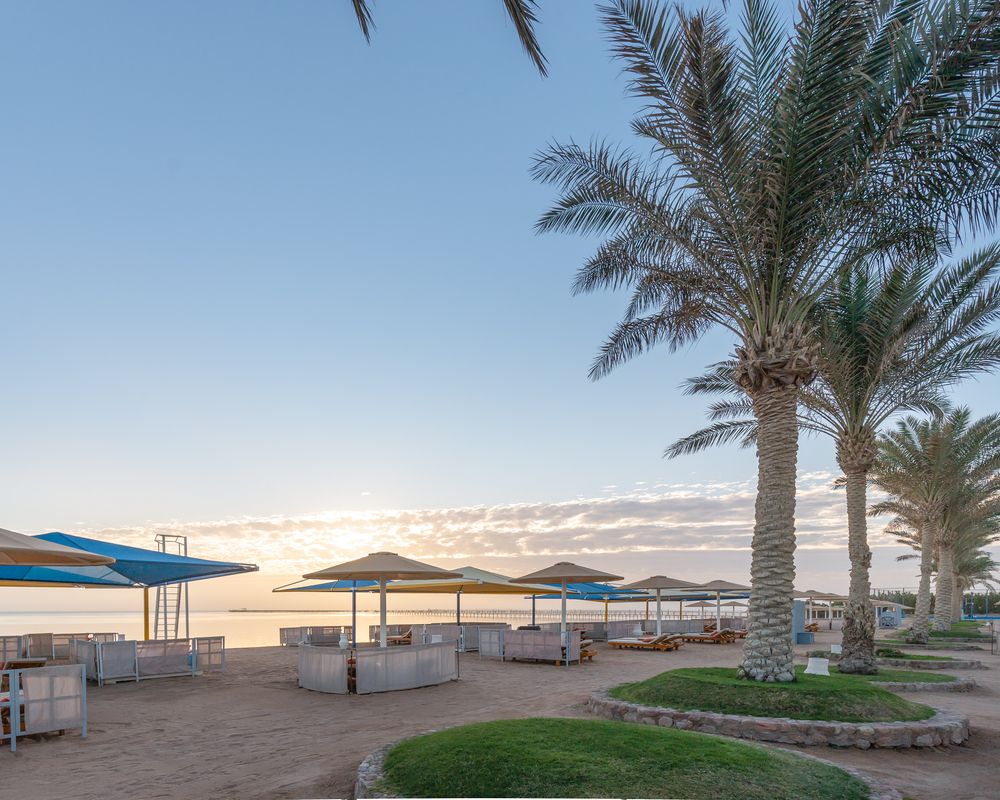 PICKALBATROS ROYAL MODERNA RESORT - 8