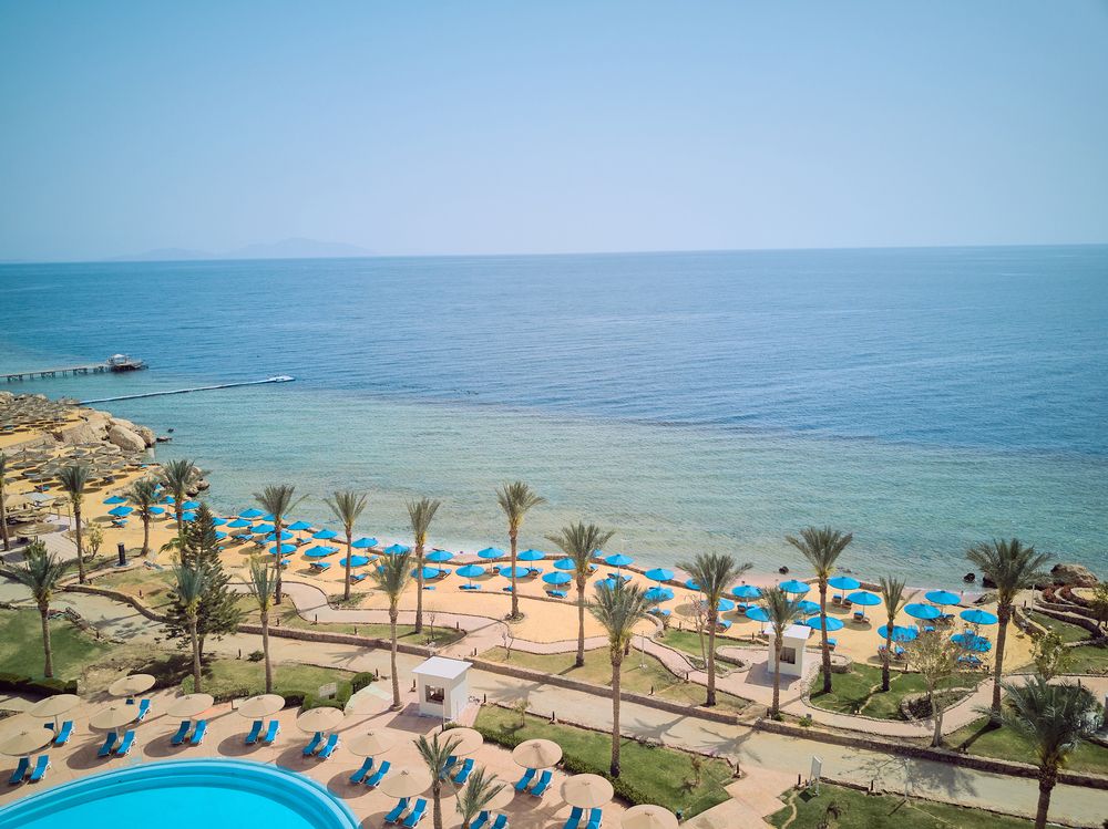 PICKALBATROS ROYAL GRAND SHARM (only adults 16+) - 8