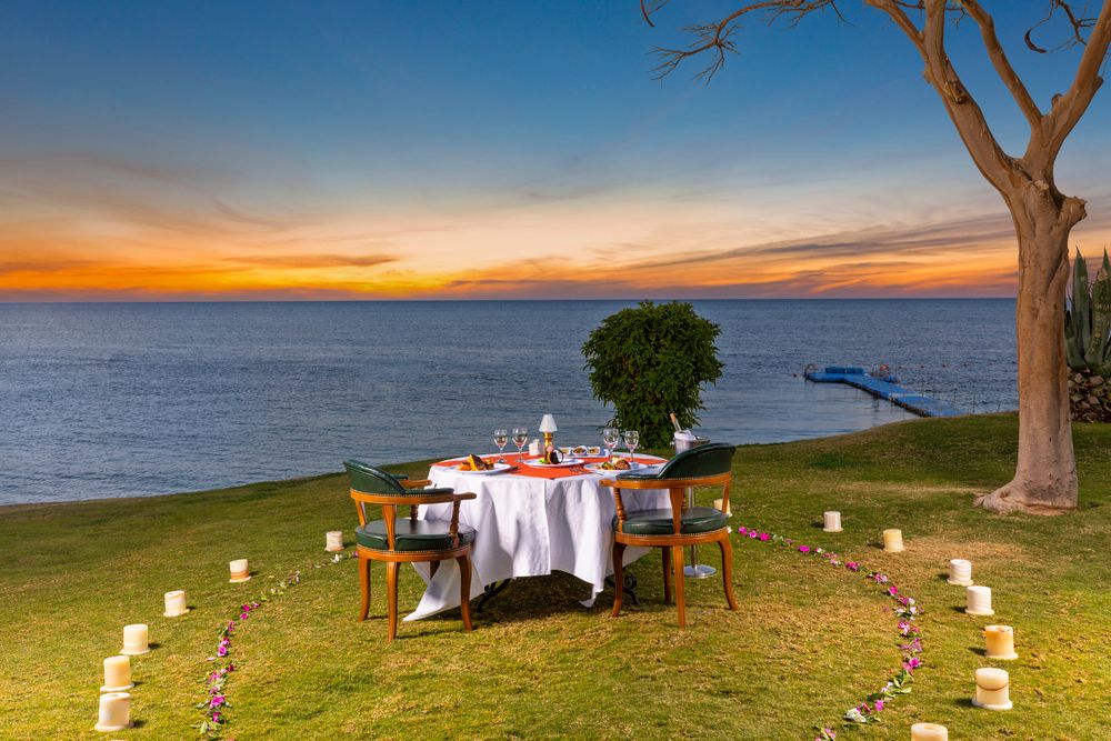 PICKALBATROS ROYAL GRAND SHARM (only adults 16+) - 36