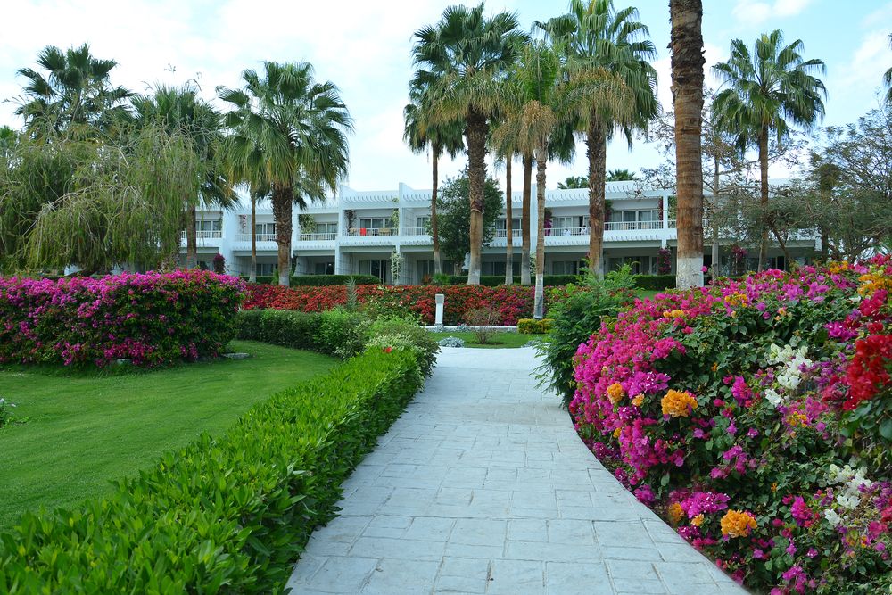 Картинка отеля - 76