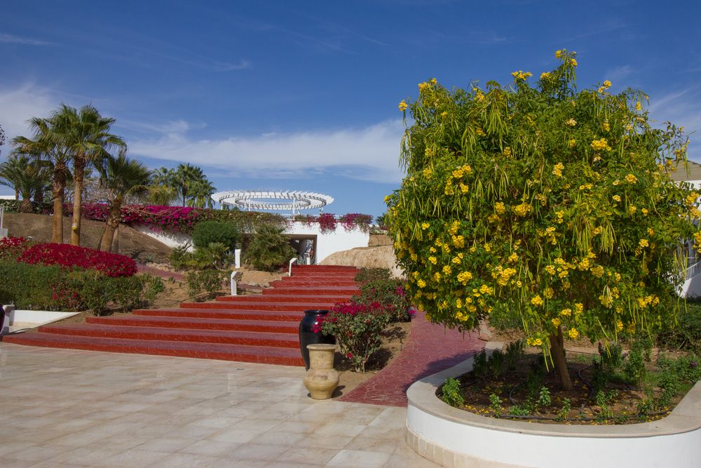 MONTE CARLO SHARM RESORT & SPA - 7