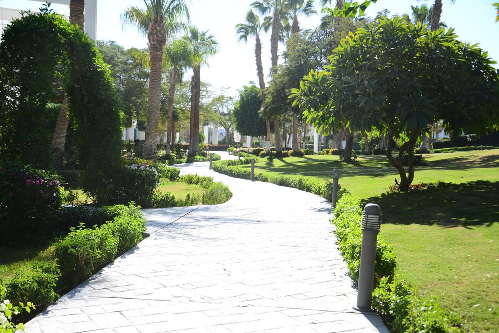 MONTE CARLO SHARM RESORT & SPA - 5