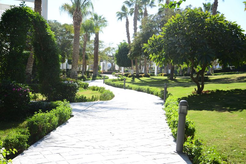 MONTE CARLO SHARM RESORT & SPA - 5