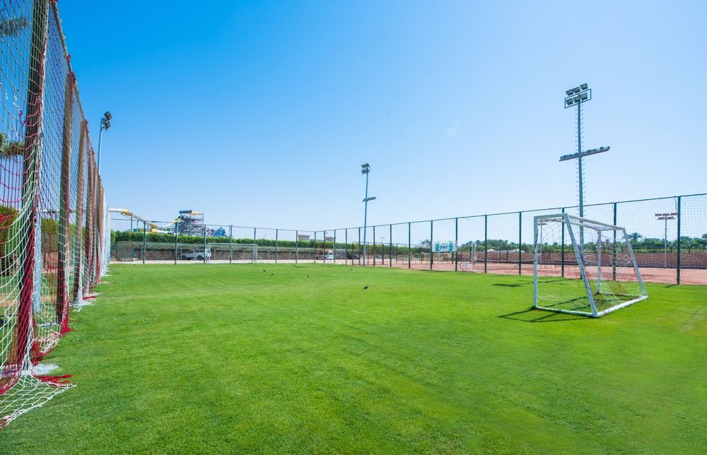 Картинка отеля - 82