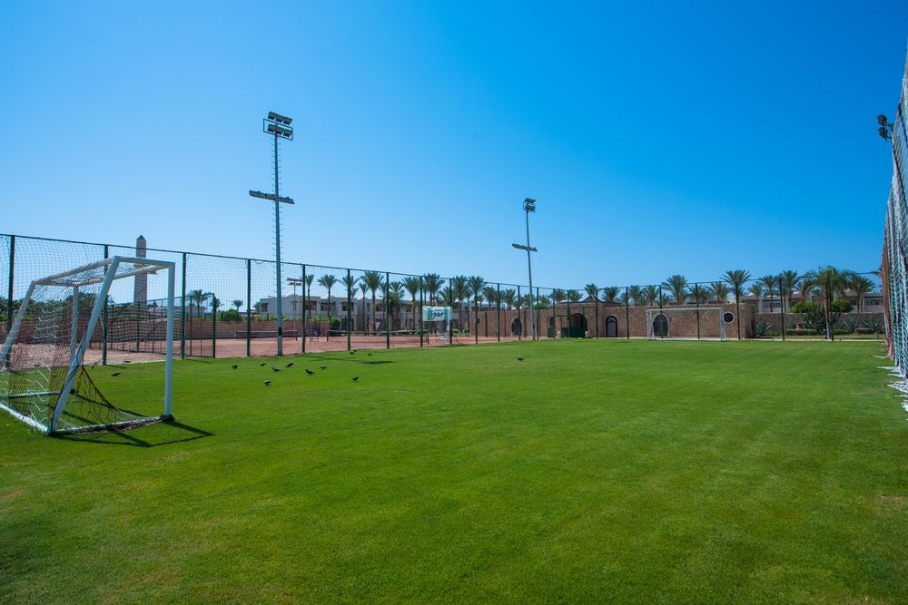 Картинка отеля - 81