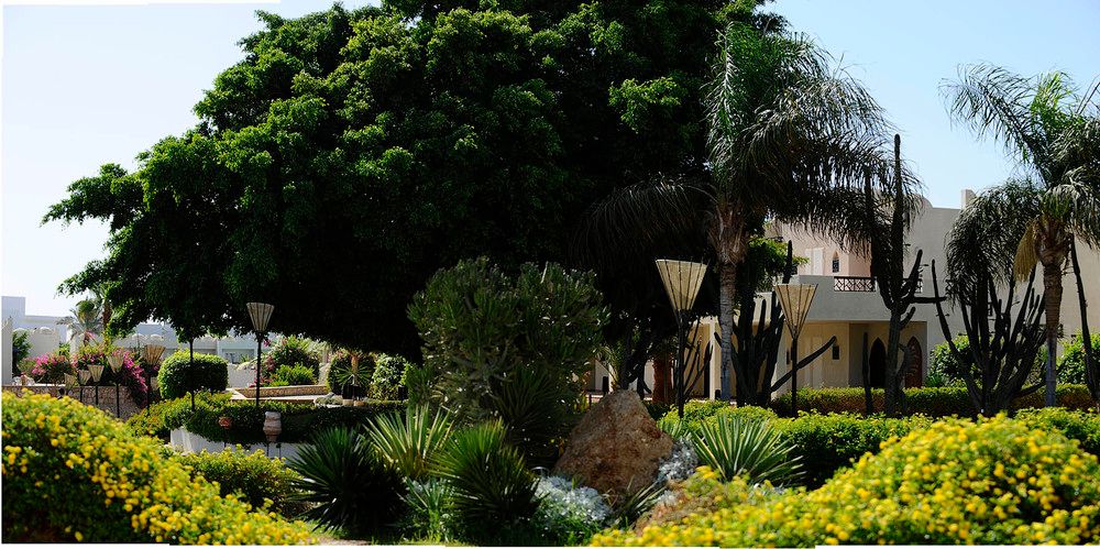 REEF OASIS BEACH RESORT - 8