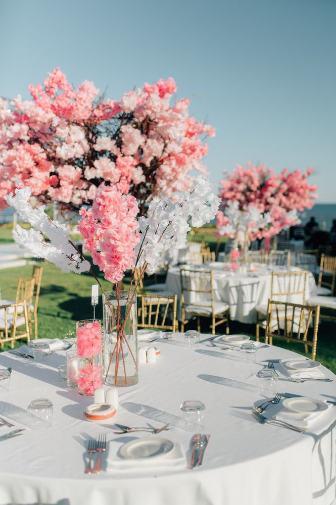 Картинка отеля - 103