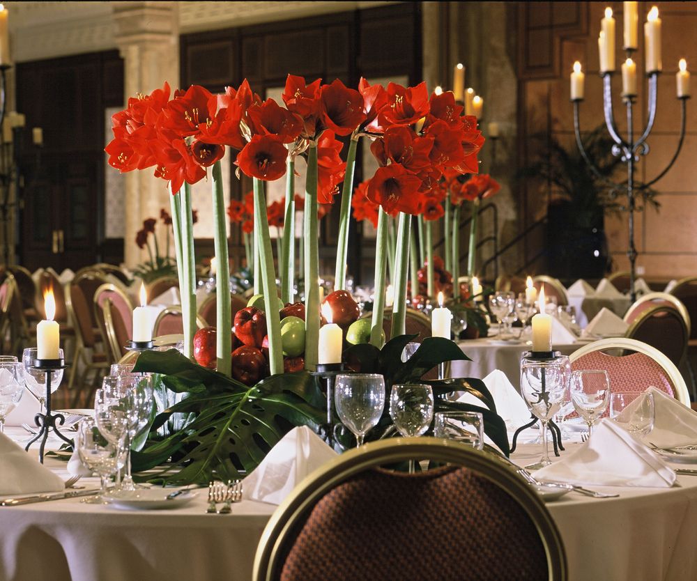 PARK REGENCY SHARM EL SHEIKH - 90