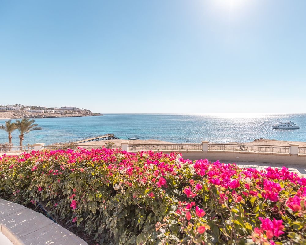 PARK REGENCY SHARM EL SHEIKH - 71