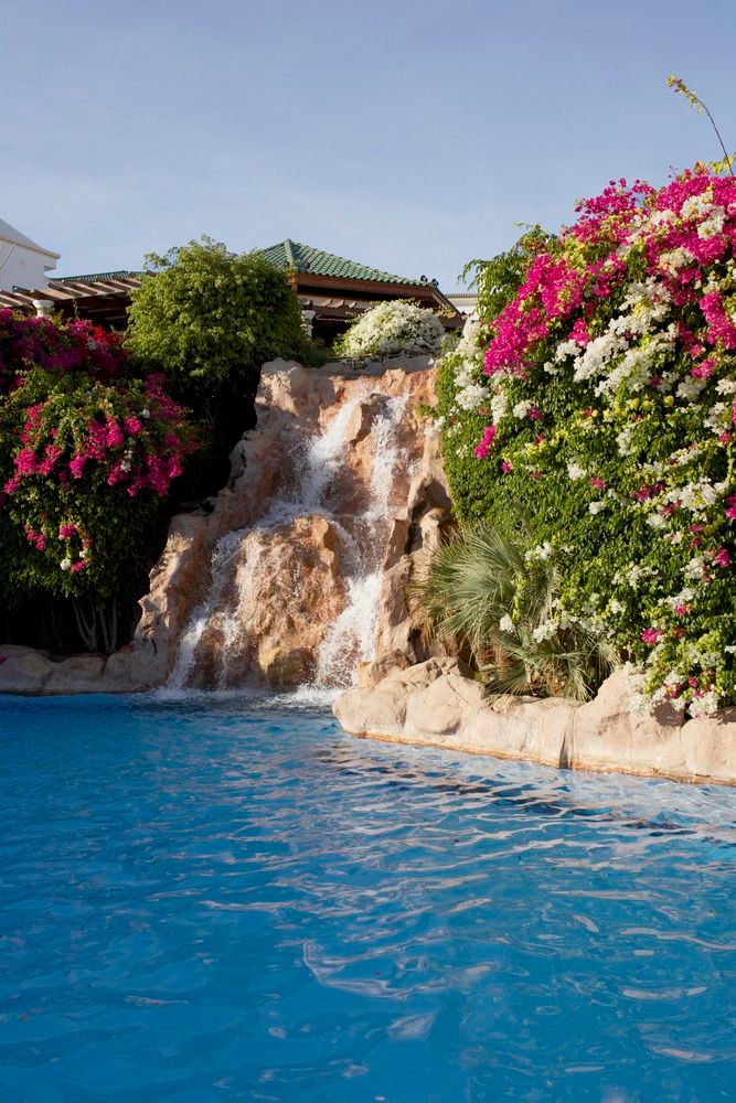 Картинка отеля - 11