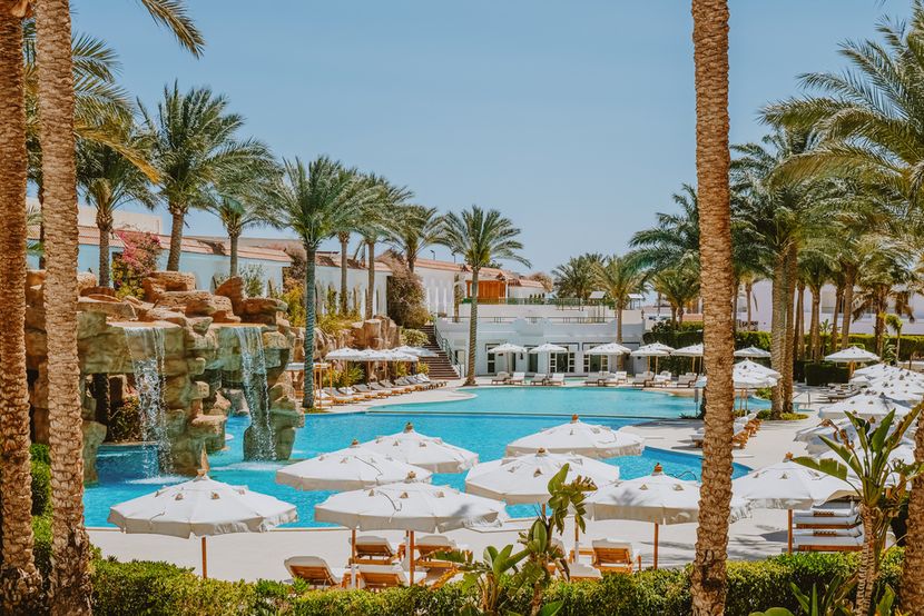 BARON PALMS (only adults 16+) - 3