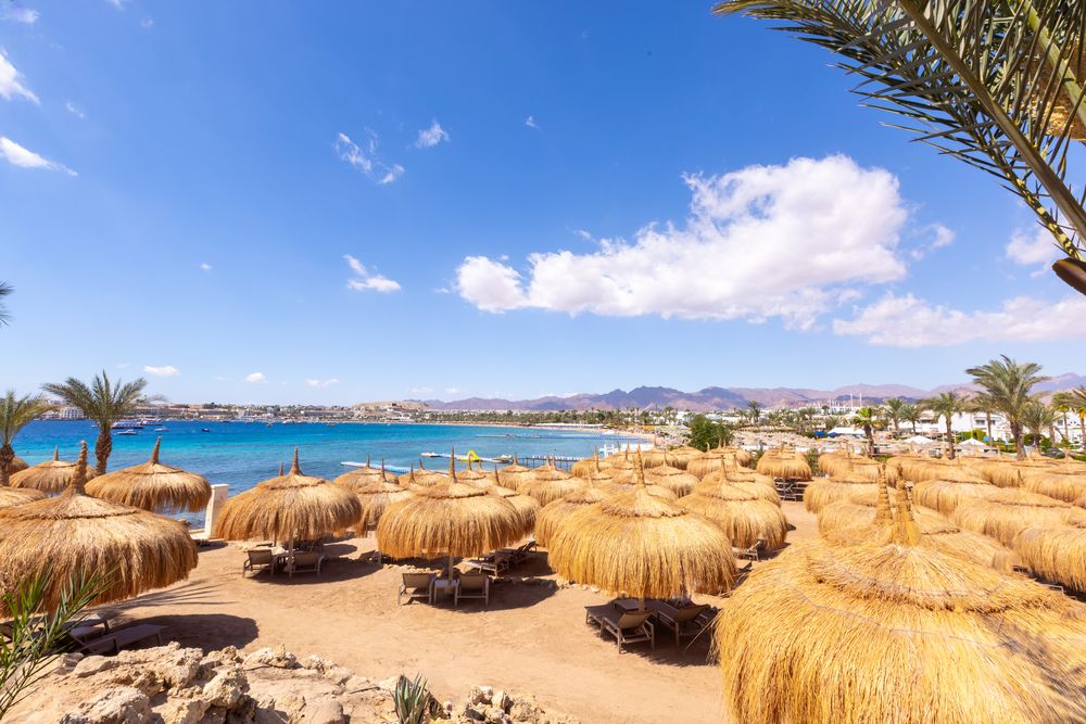 SWISSOTEL SHARM EL SHEIKH ALL INCLUSIVE COLLECTION - 16