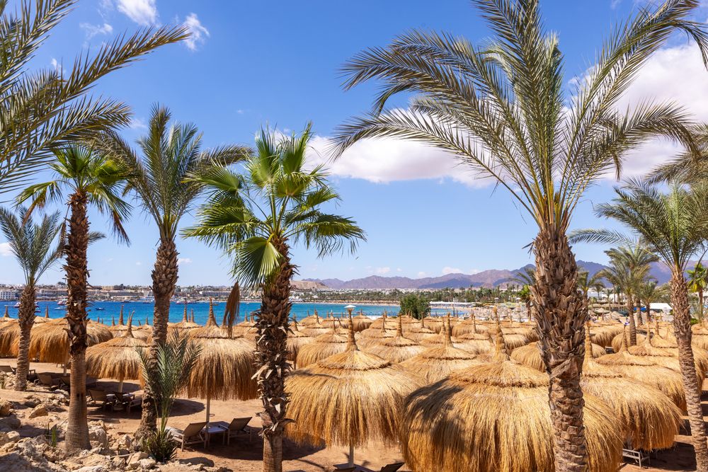 SWISSOTEL SHARM EL SHEIKH ALL INCLUSIVE COLLECTION - 15