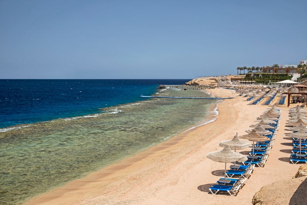 Картинка отеля - 8