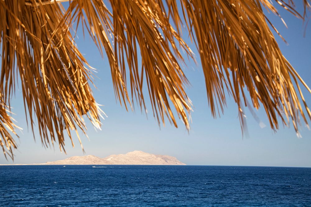 Картинка отеля - 6