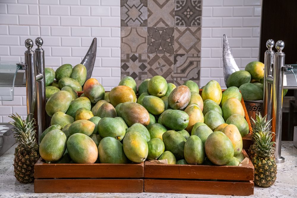 SULTAN GARDENS RESORT - 109