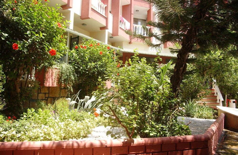 Bieno Club Hotel SVS - 6