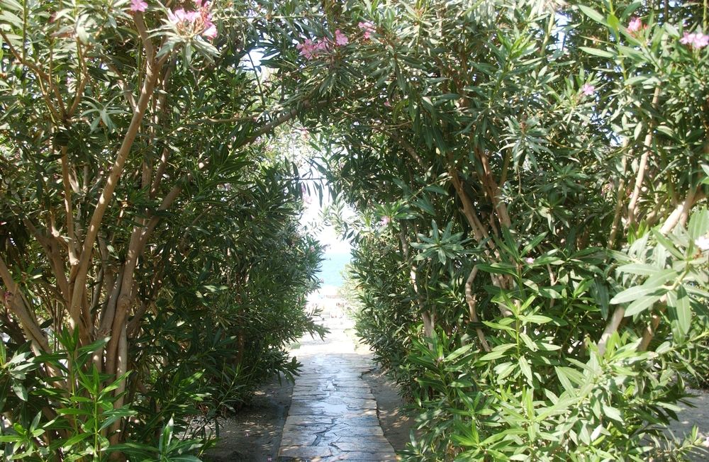 Картинка отеля - 7