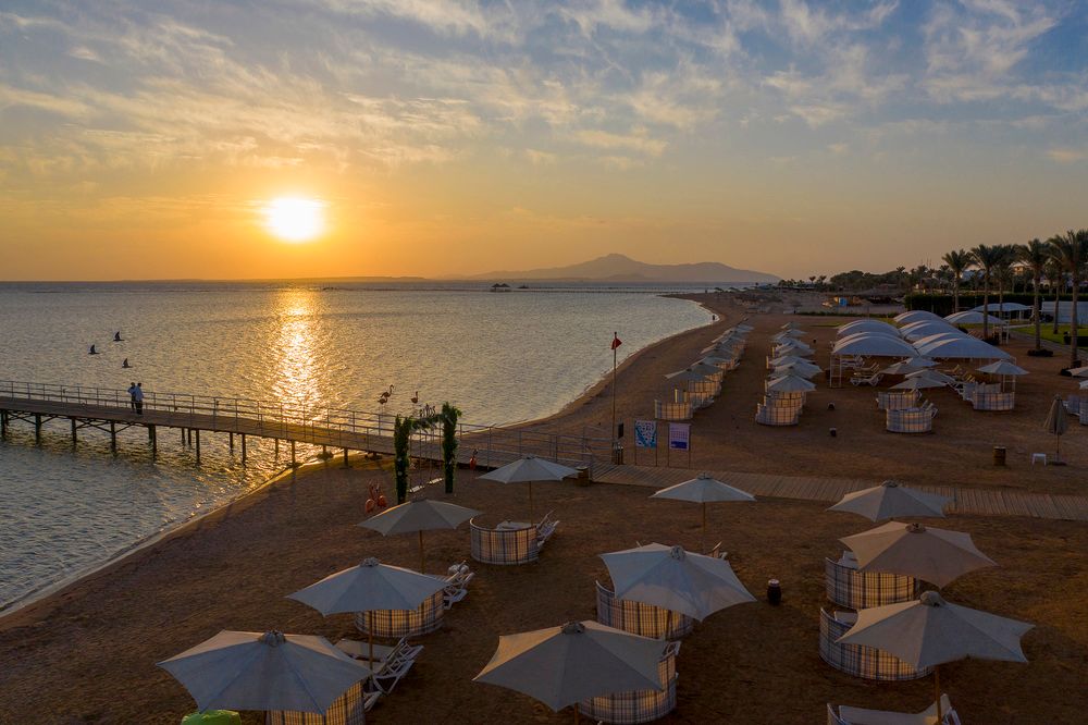 RIXOS PREMIUM SEAGATE - 23