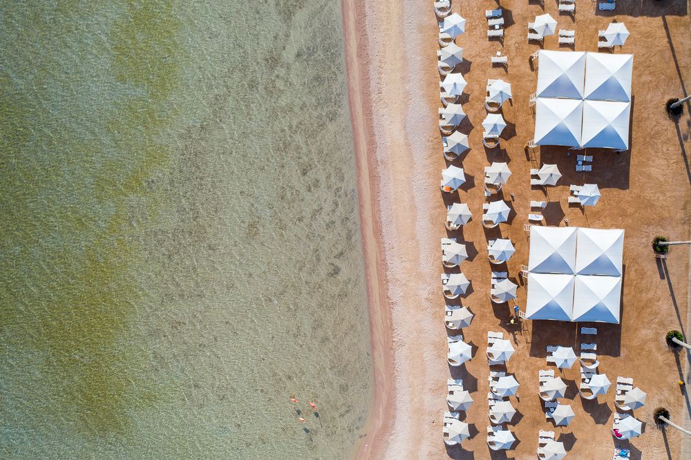 RIXOS PREMIUM SEAGATE - 16