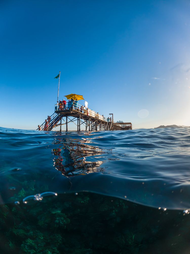 RIXOS PREMIUM SEAGATE - 12