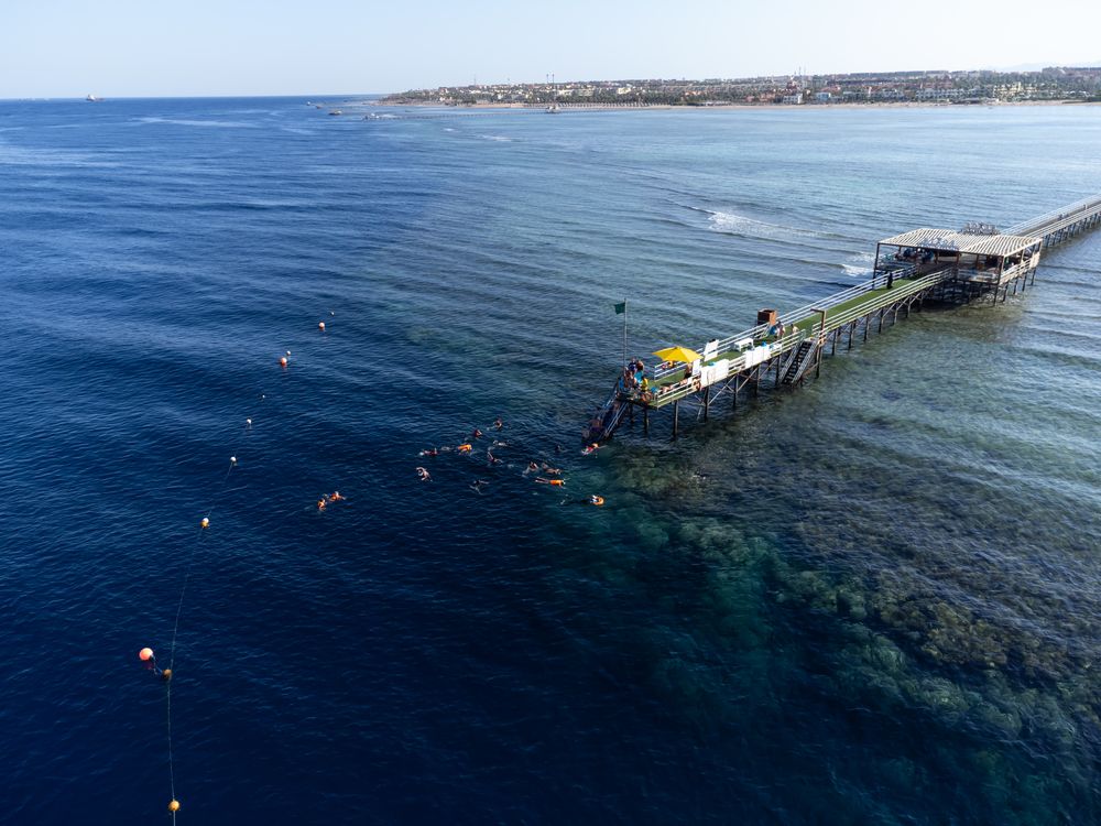 Картинка отеля - 11