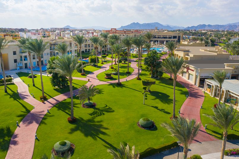 RIXOS PREMIUM SEAGATE - 4