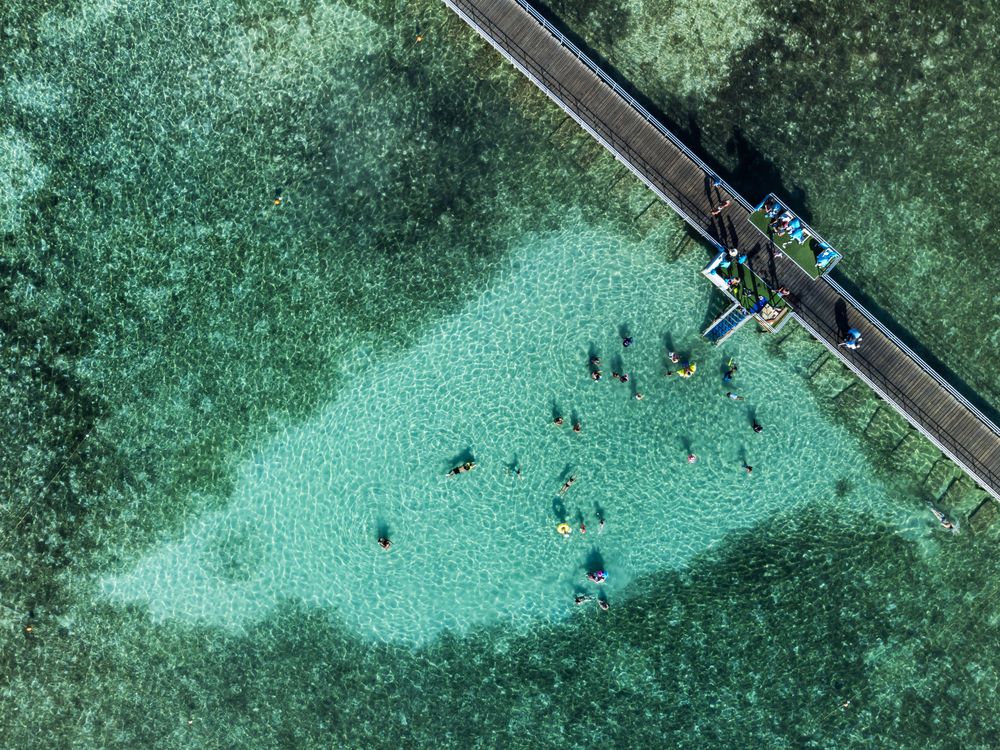 RIXOS PREMIUM SEAGATE - 9