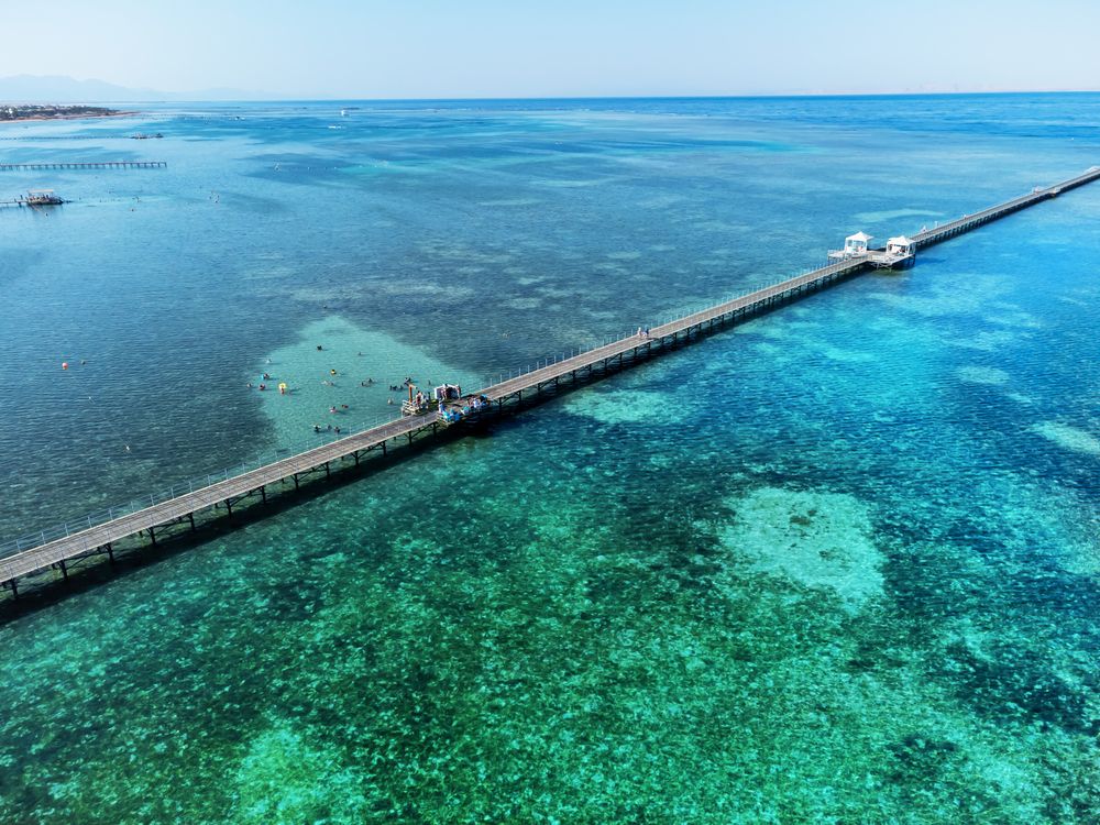 RIXOS PREMIUM SEAGATE - 8