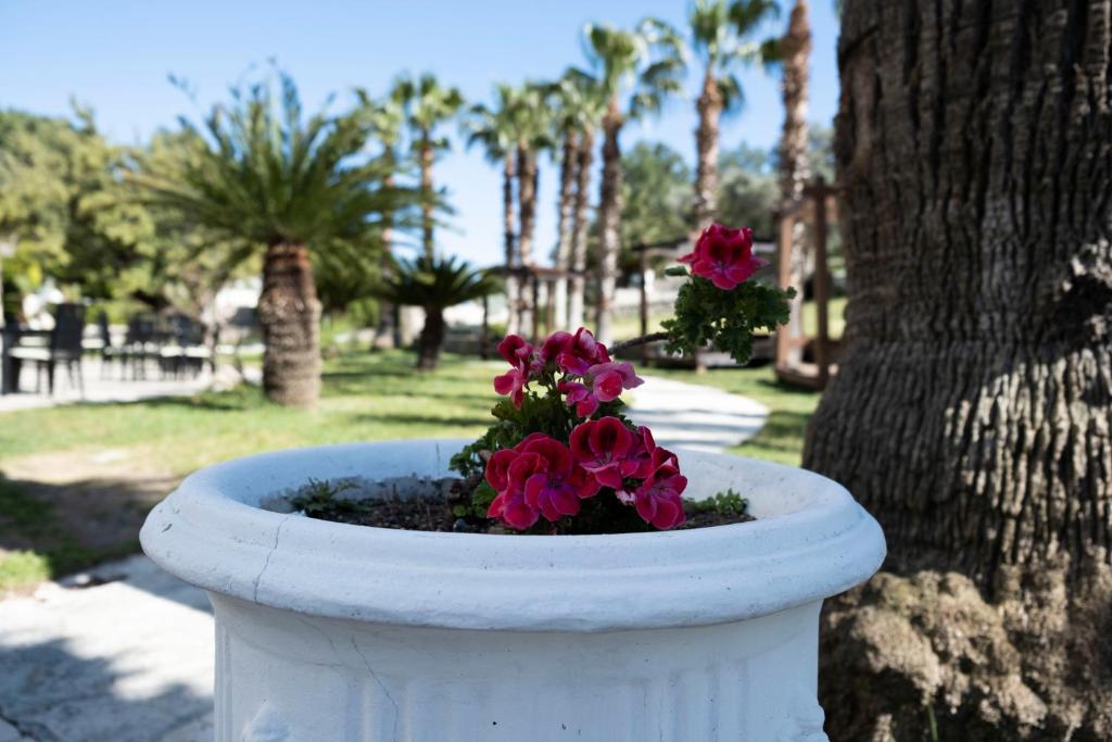 Картинка отеля - 12