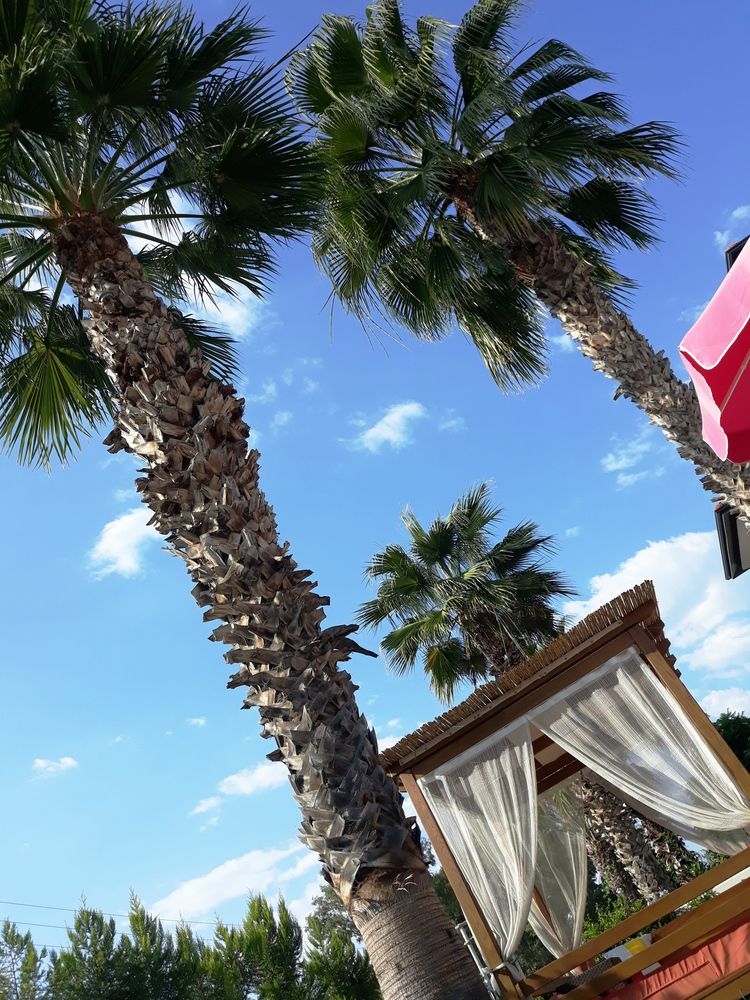 Картинка отеля - 5