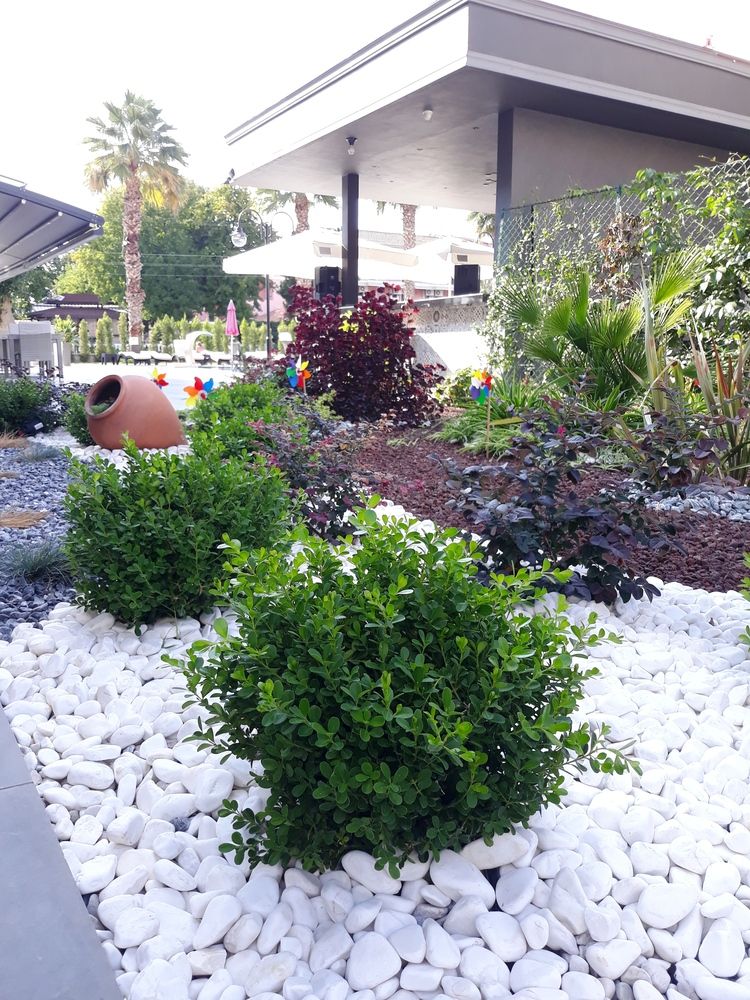 Mendos Garden Exclusive - 2