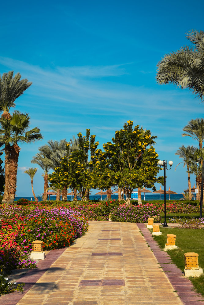 Картинка отеля - 18