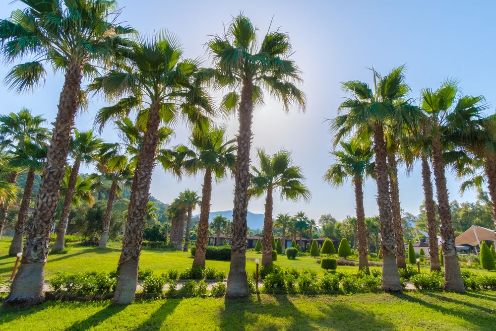 Fortezza Beach Resort - 16