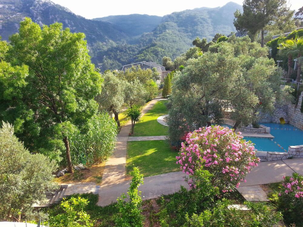 Картинка отеля - 8