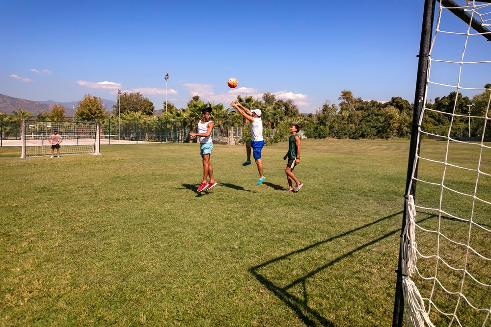 Картинка отеля - 147