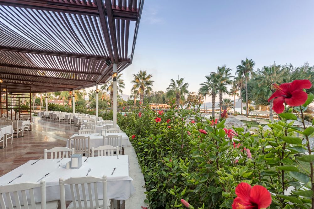 Картинка отеля - 99