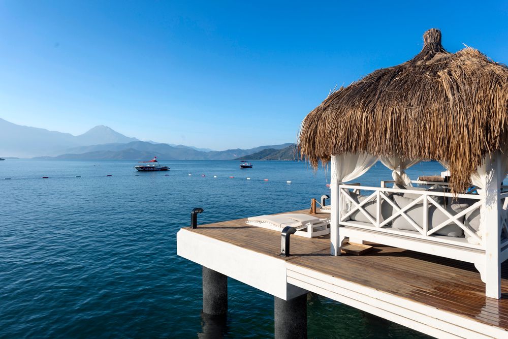 Картинка отеля - 39