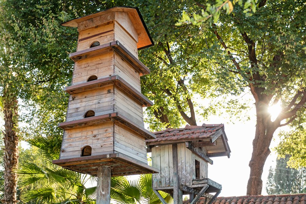 Картинка отеля - 32