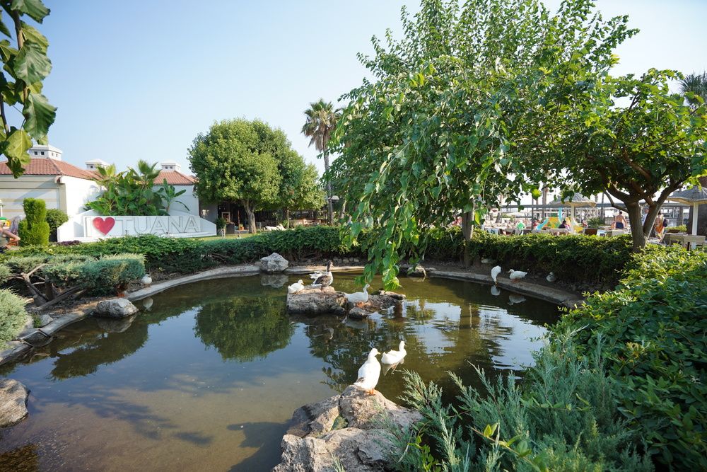 Картинка отеля - 26