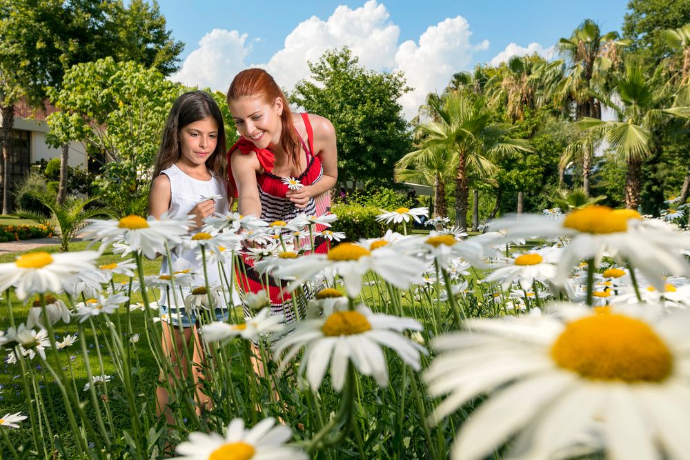 Картинка отеля - 19