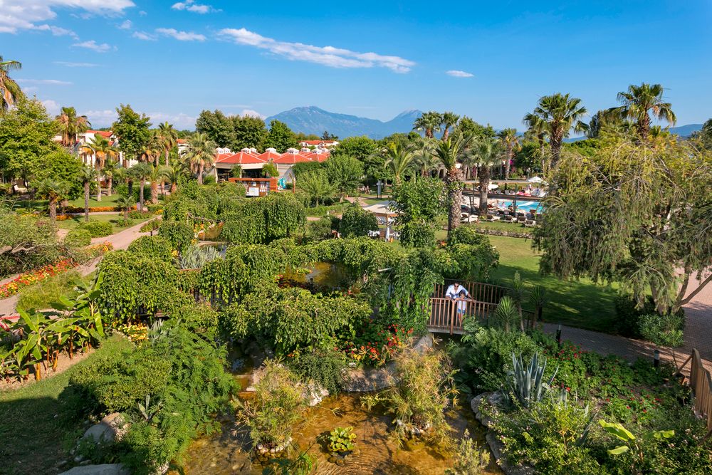 Картинка отеля - 16