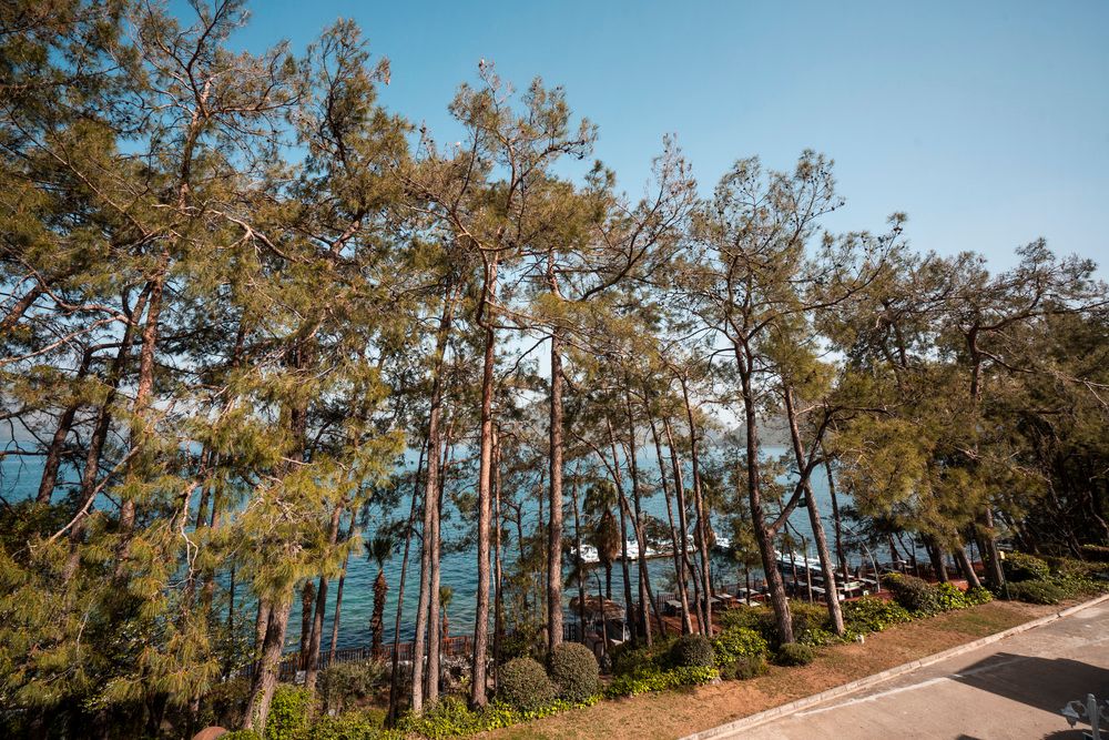 Labranda Mares Marmaris - 276