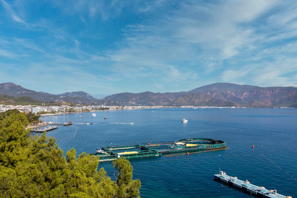 Labranda Mares Marmaris - 258