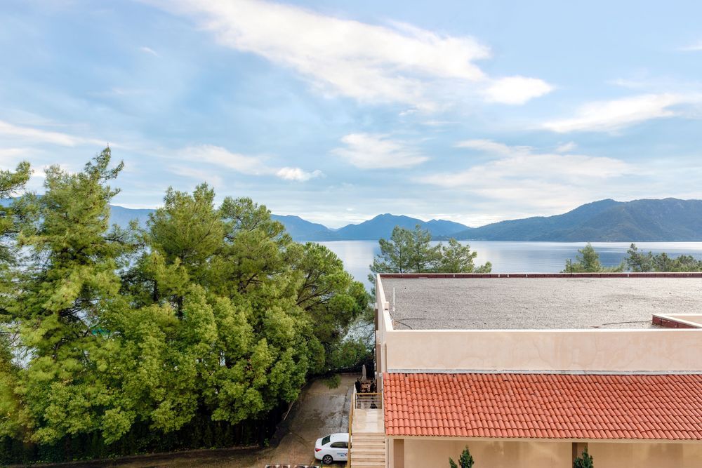 Картинка отеля - 243