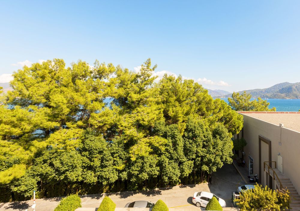 Картинка отеля - 238