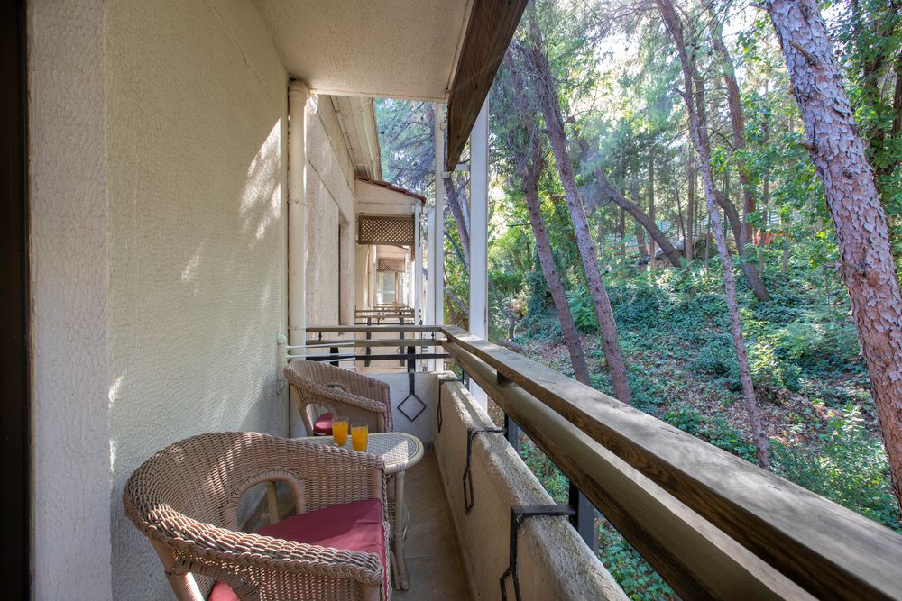 Картинка отеля - 237