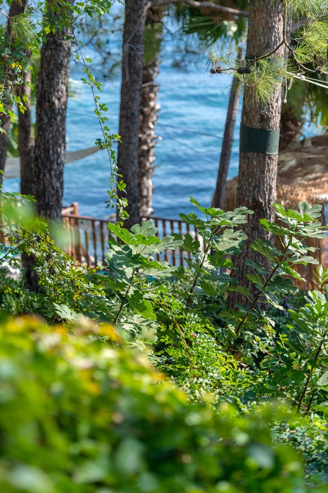 Labranda Mares Marmaris - 164