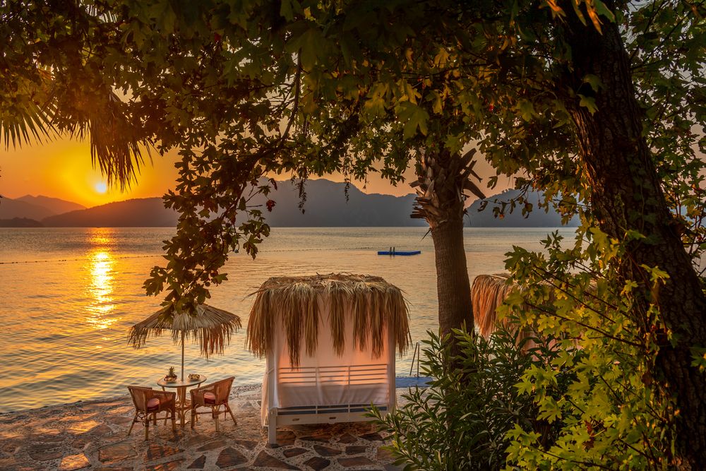 Картинка отеля - 43