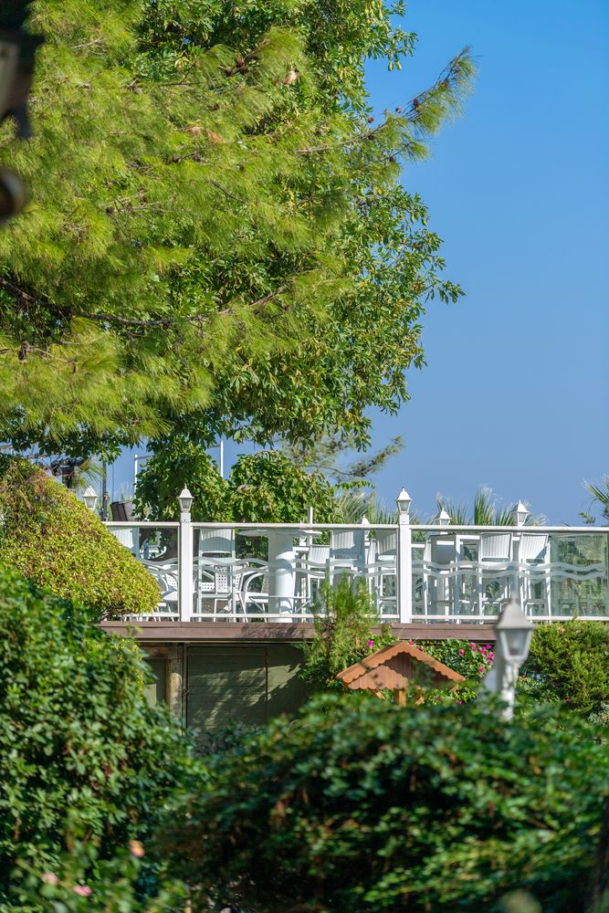 Картинка отеля - 98